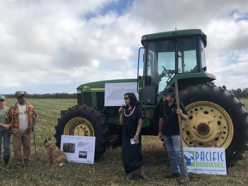 Hemp Farm